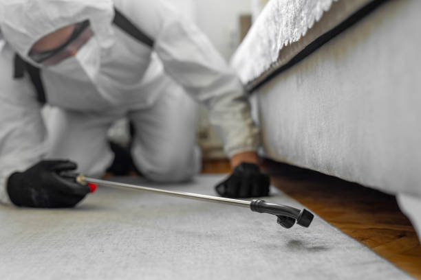 Professional Pest Control technician working in Algoma, WI