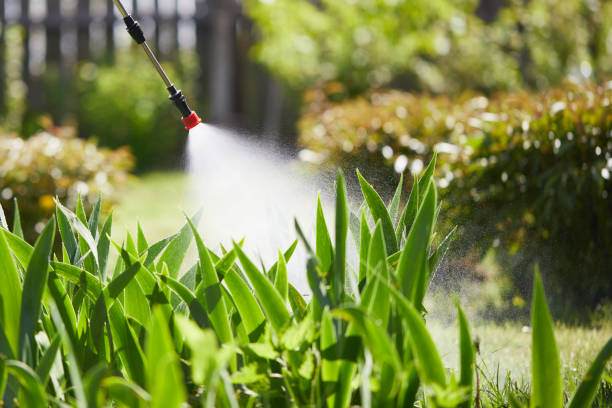 24/7 Emergency Pest Control experts in Algoma, WI