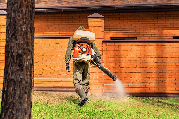 Top rated local Pest Control specialists in Algoma, WI